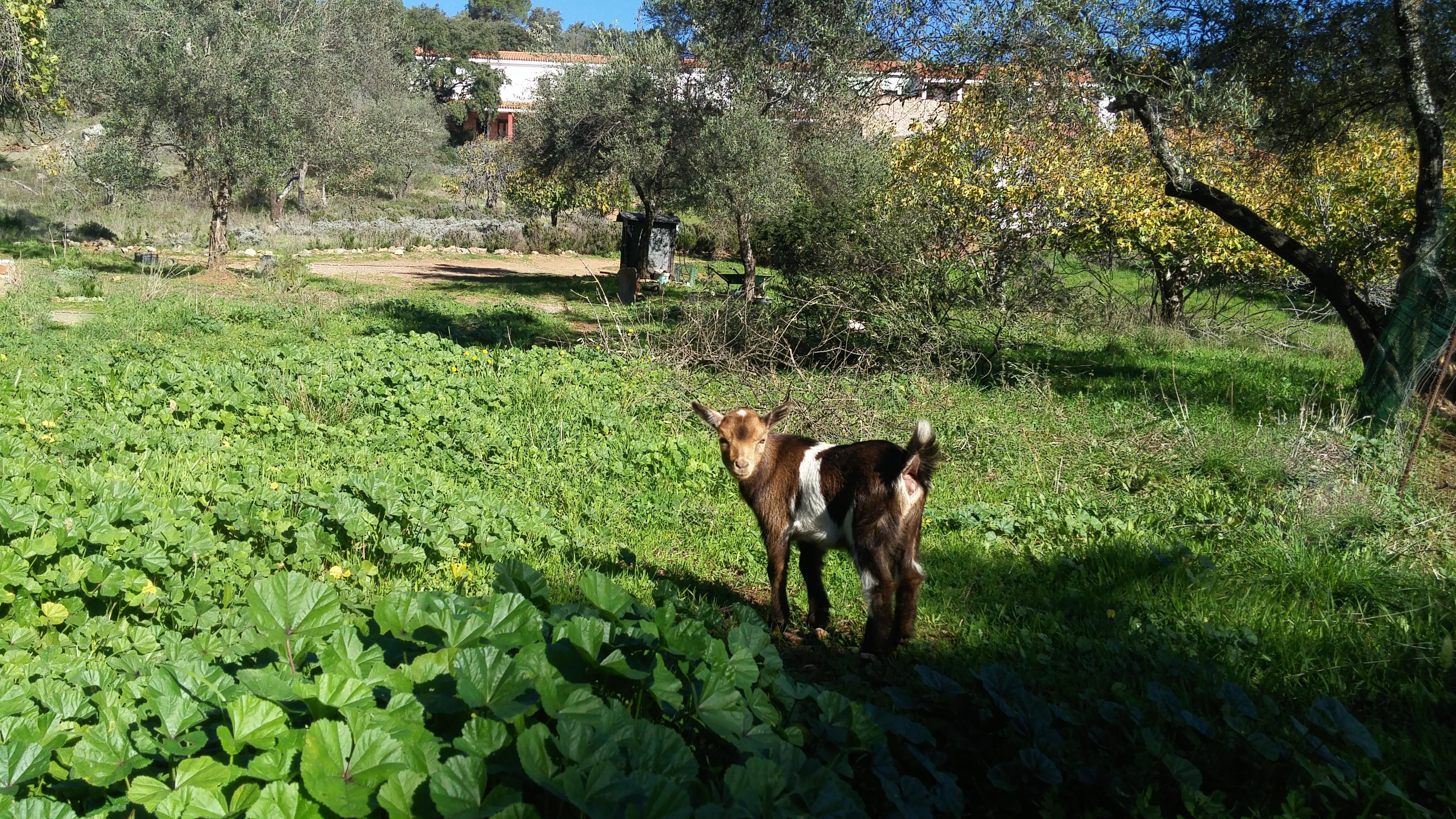 Hotel La Era De Aracena - Adults Only Εξωτερικό φωτογραφία
