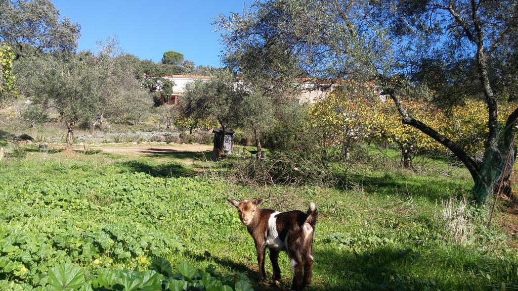 Hotel La Era De Aracena - Adults Only Εξωτερικό φωτογραφία