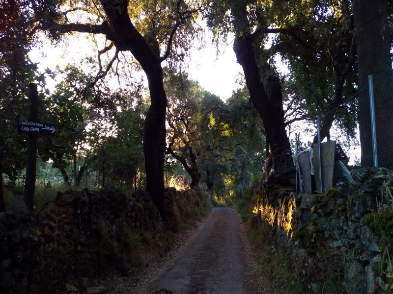Hotel La Era De Aracena - Adults Only Εξωτερικό φωτογραφία