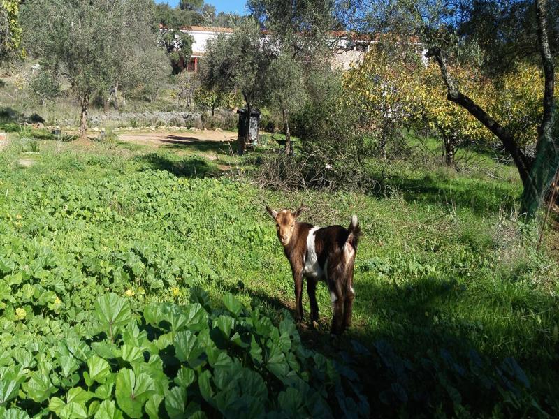 Hotel La Era De Aracena - Adults Only Εξωτερικό φωτογραφία